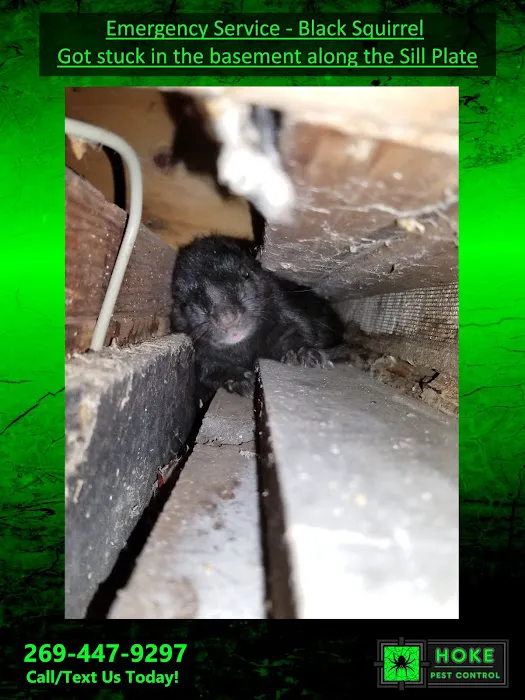 Hoke Pest Control Picture 3