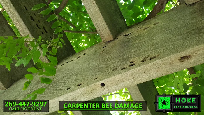 Hoke Pest Control Picture 2