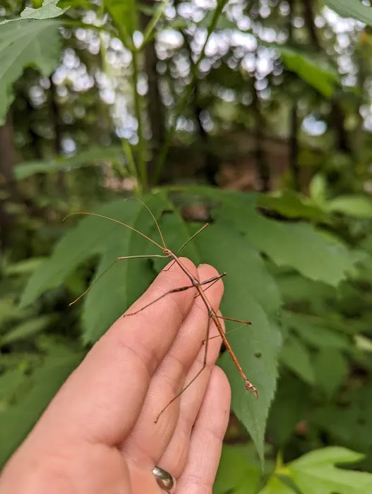 Boone Wildlife and Pest Solutions Picture 7