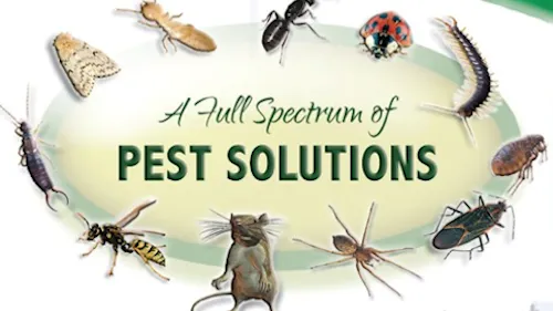 Advanced Pest Solutions Plus Picture 1