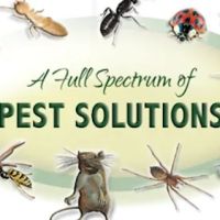 Advanced Pest Solutions Plus ico