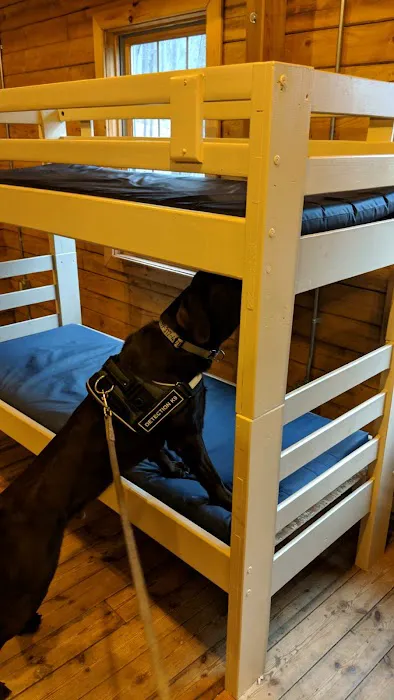 K9 Bed Bug Hunter Picture 1