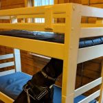 K9 Bed Bug Hunter