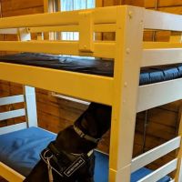 K9 Bed Bug Hunter ico