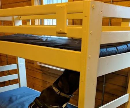 K9 Bed Bug Hunter