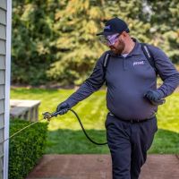 proof. Pest Control ico