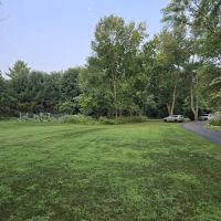 Naturescape Lawn and Landscape Care ico