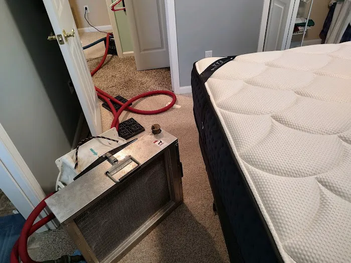 Bed Bug Specialist Picture 7