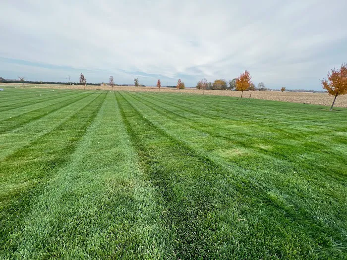 KAS Lawn Solutions Picture 2