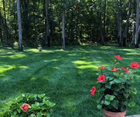 Turfmen & ExperiGreen