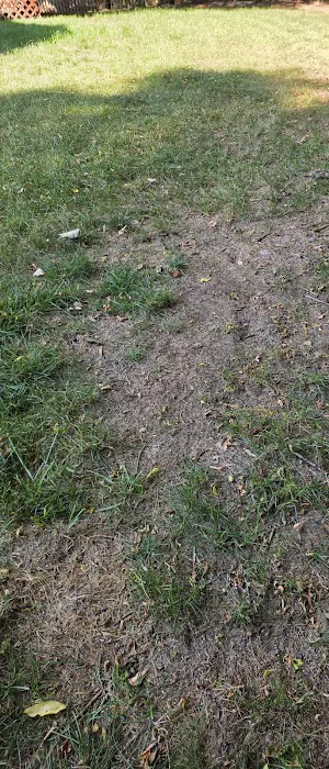 Turfmen & ExperiGreen Picture 4