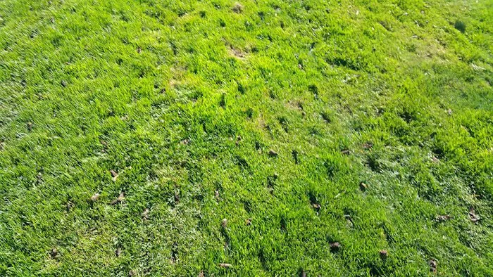 Turfmen & ExperiGreen Picture 8