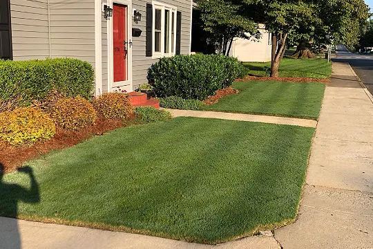 Advanced Turf Care Picture 6