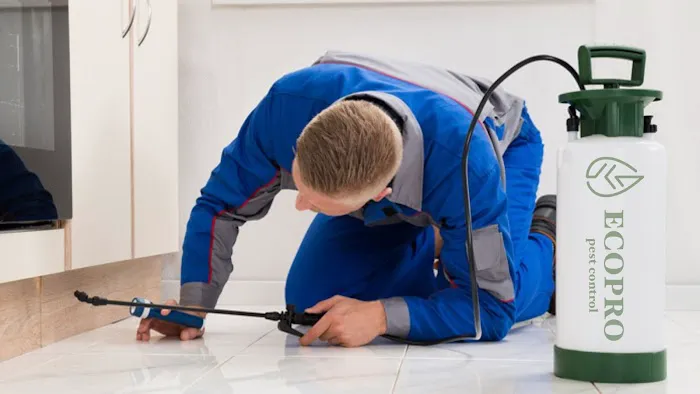 EcoPro Pest Control Picture 4