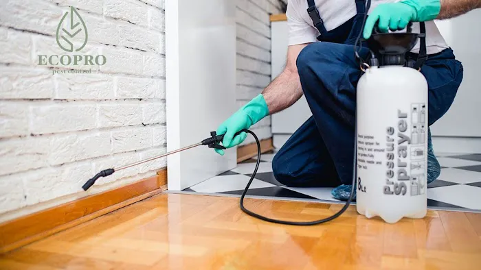 EcoPro Pest Control Picture 1