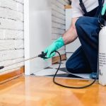 EcoPro Pest Control