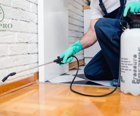 EcoPro Pest Control