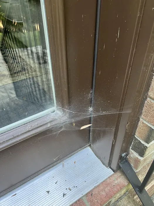 Alta Pest Control Picture 8