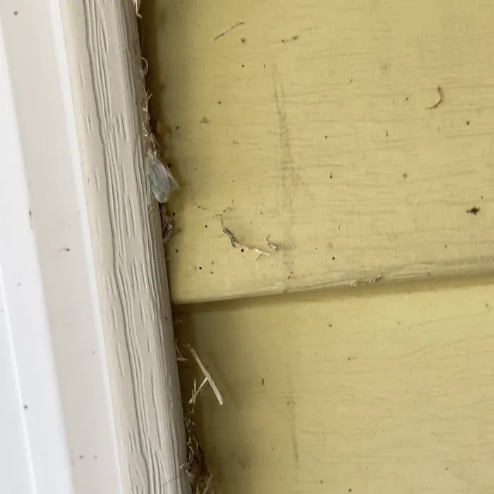 Alta Pest Control Picture 3