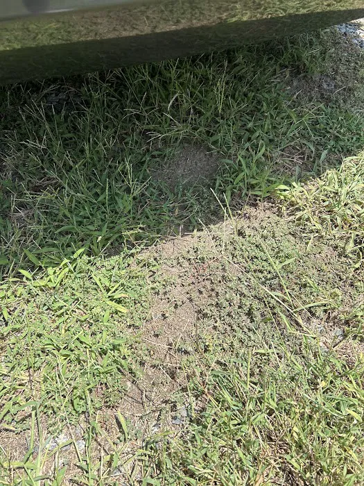 Alta Pest Control Picture 9