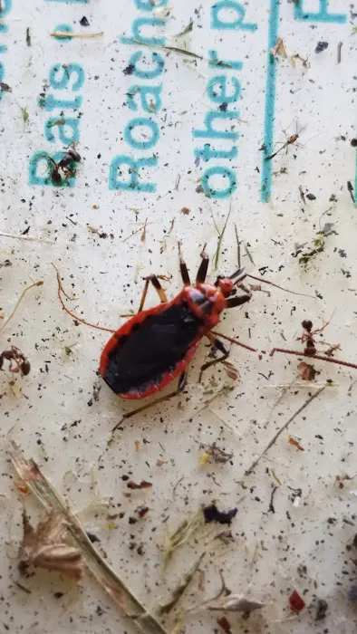 Norton's Pest Control, Inc. Picture 3