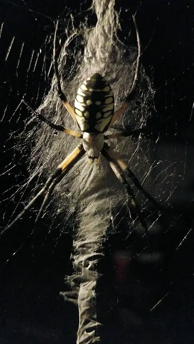 Norton's Pest Control, Inc. Picture 5
