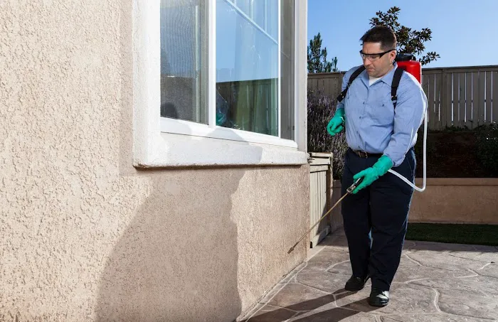 The Queen Pest Control Co Picture 9