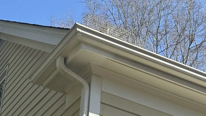 Charlotte Wildlife Removal Picture 4