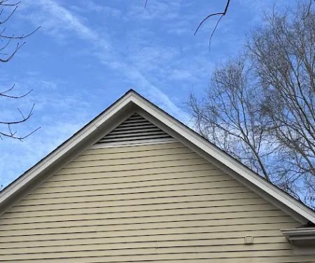Charlotte Wildlife Removal