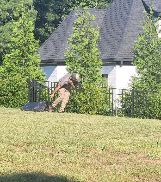 Charlotte Wildlife Removal Picture 9