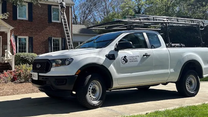 Charlotte Wildlife Removal Picture 7