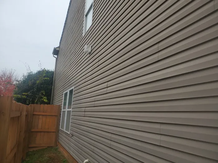 Charlotte Wildlife Removal Picture 3