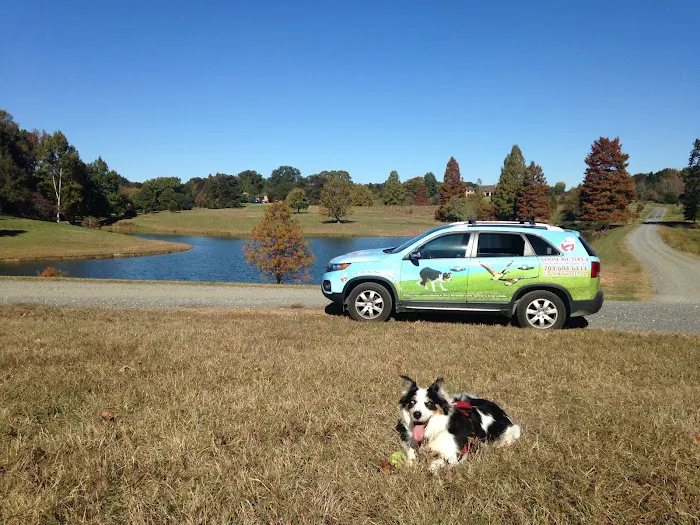 Goose Busters Picture 3