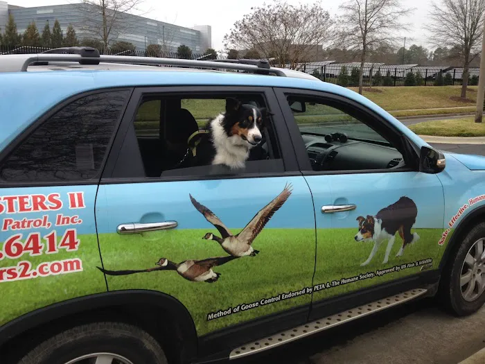 Goose Busters Picture 1