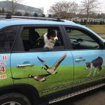 Goose Busters
