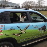 Goose Busters ico