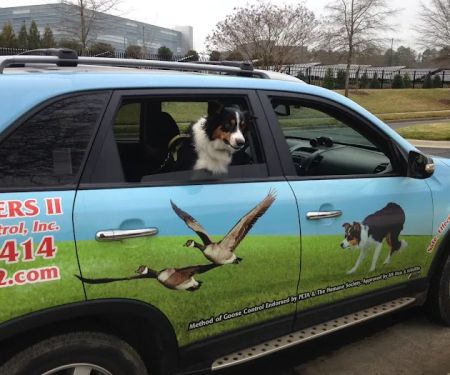 Goose Busters