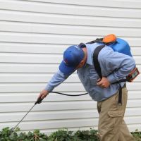 Thomas Pest Control ico