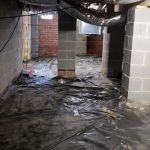 Sebert's Pest Solutions