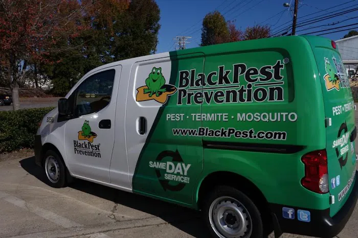 Black Pest Prevention, Inc. Picture 1