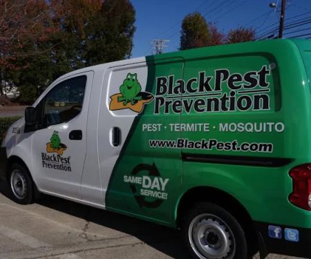 Black Pest Prevention, Inc.