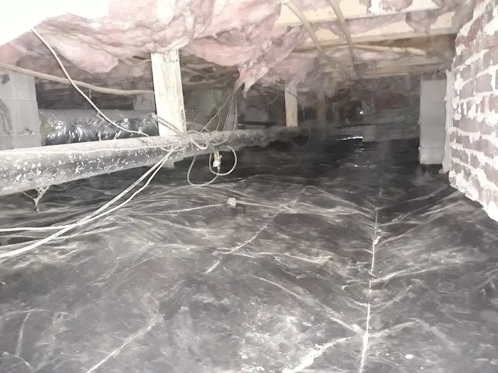 Apex Termite & Pest Control Picture 6