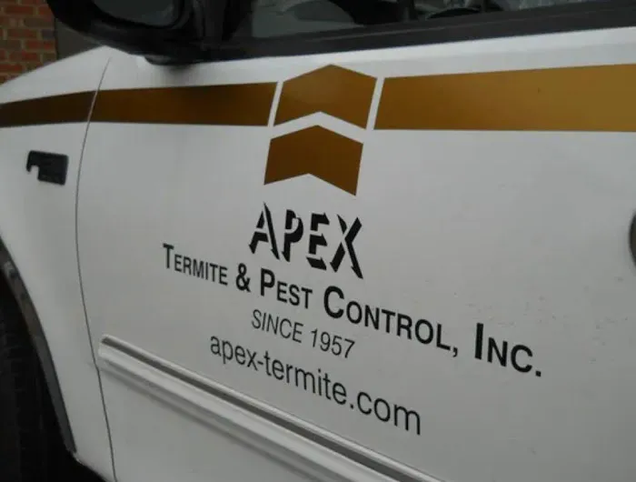 Apex Termite & Pest Control Picture 1