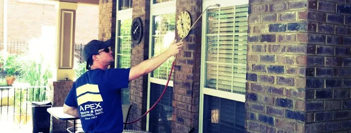 Apex Termite & Pest Control Picture 7