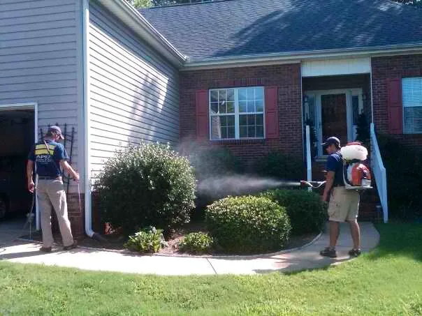Apex Termite & Pest Control Picture 3