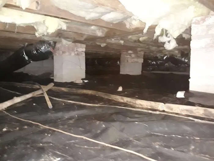 Apex Termite & Pest Control Picture 5