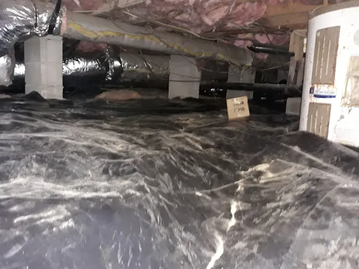 Apex Termite & Pest Control Picture 8