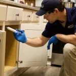 Compass Pest Management