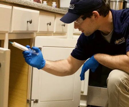 Compass Pest Management