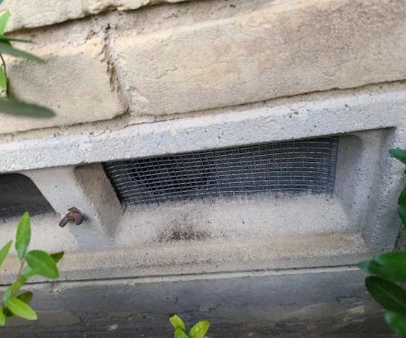Vinx Pest Control